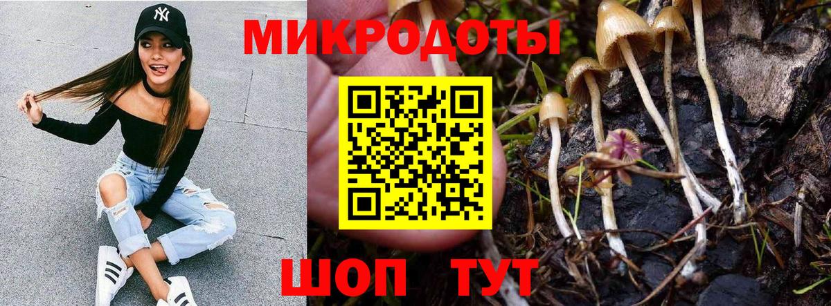 Ачхой-Мартан  Псилоцибиновые грибы GOLDEN TEACHER  Вход с VPN  Псилоцибиновые грибы Psilocybe 